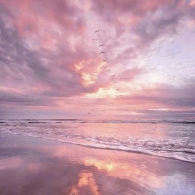 乐鱼APP下载手机版